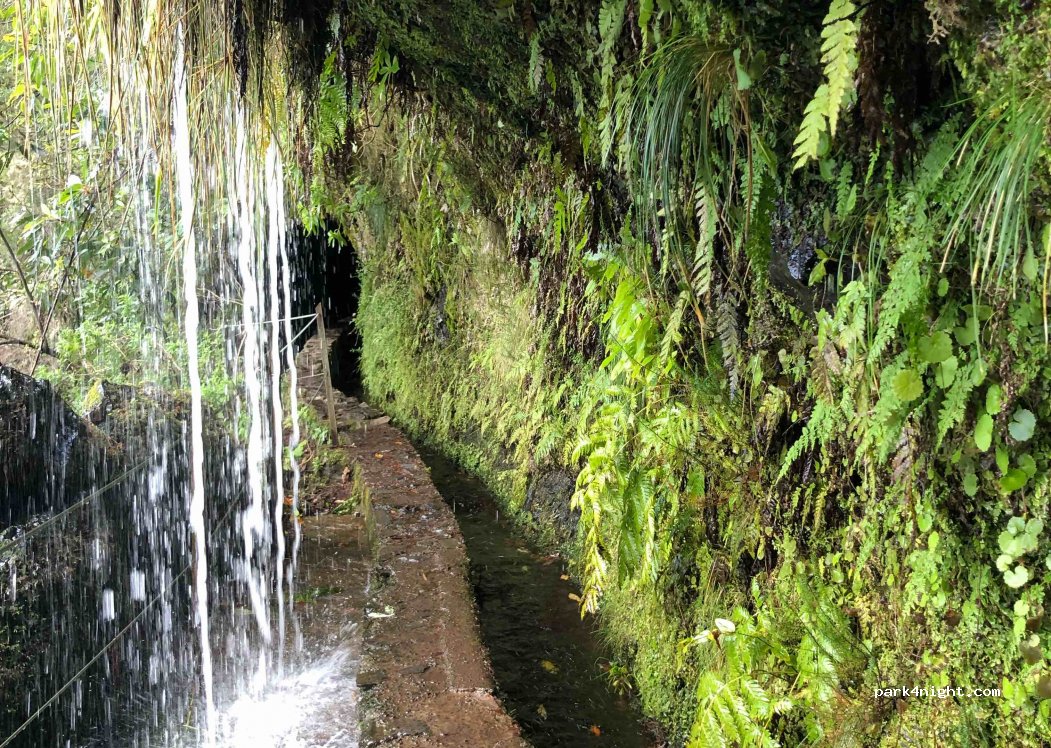 (9230) - 9 Levada do Caldeirão Verde — foto 3