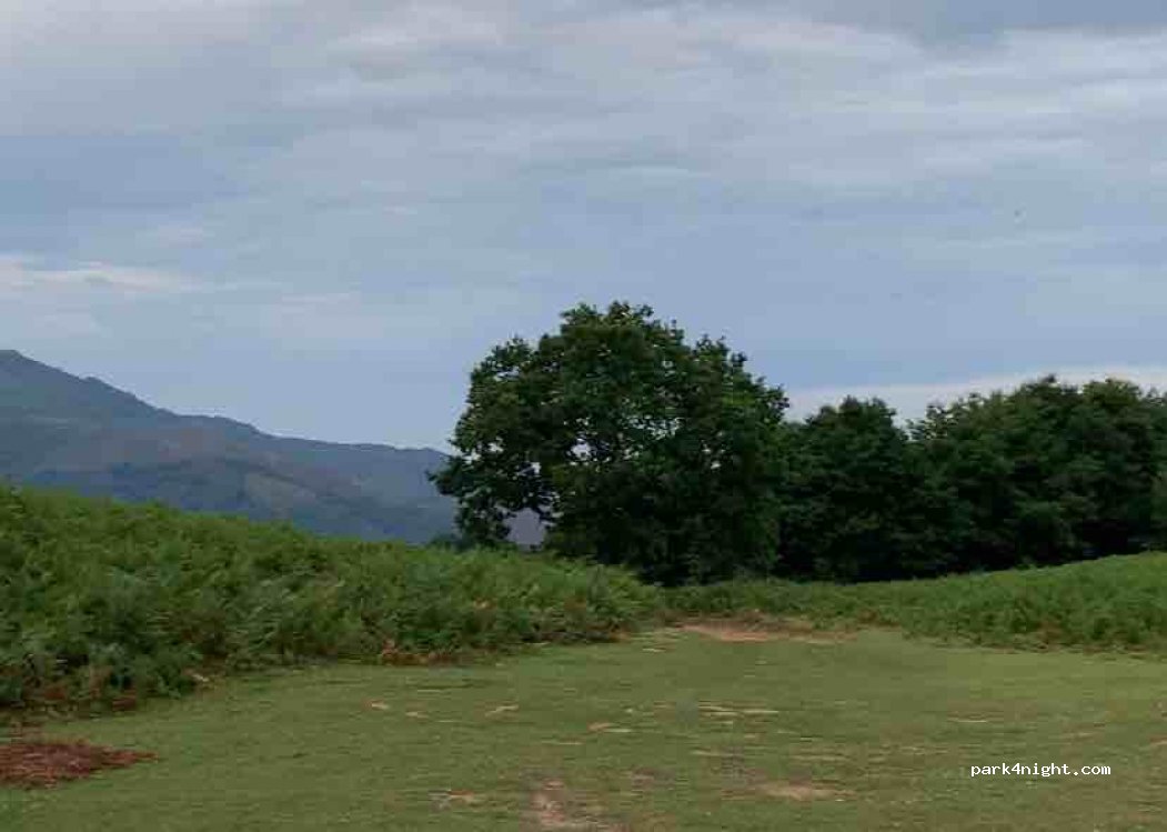 (64310) Sare - Unnamed Road — foto