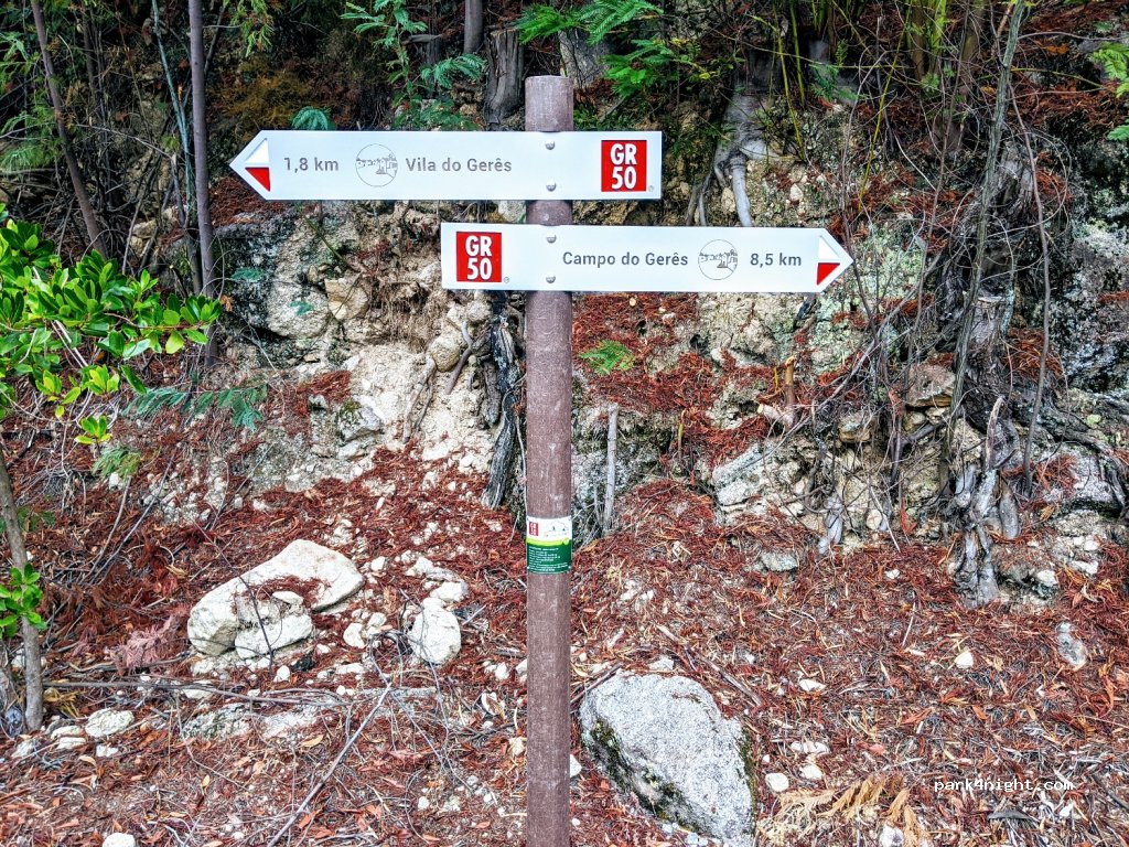 (4845)  - Estrada Florestal — foto 2