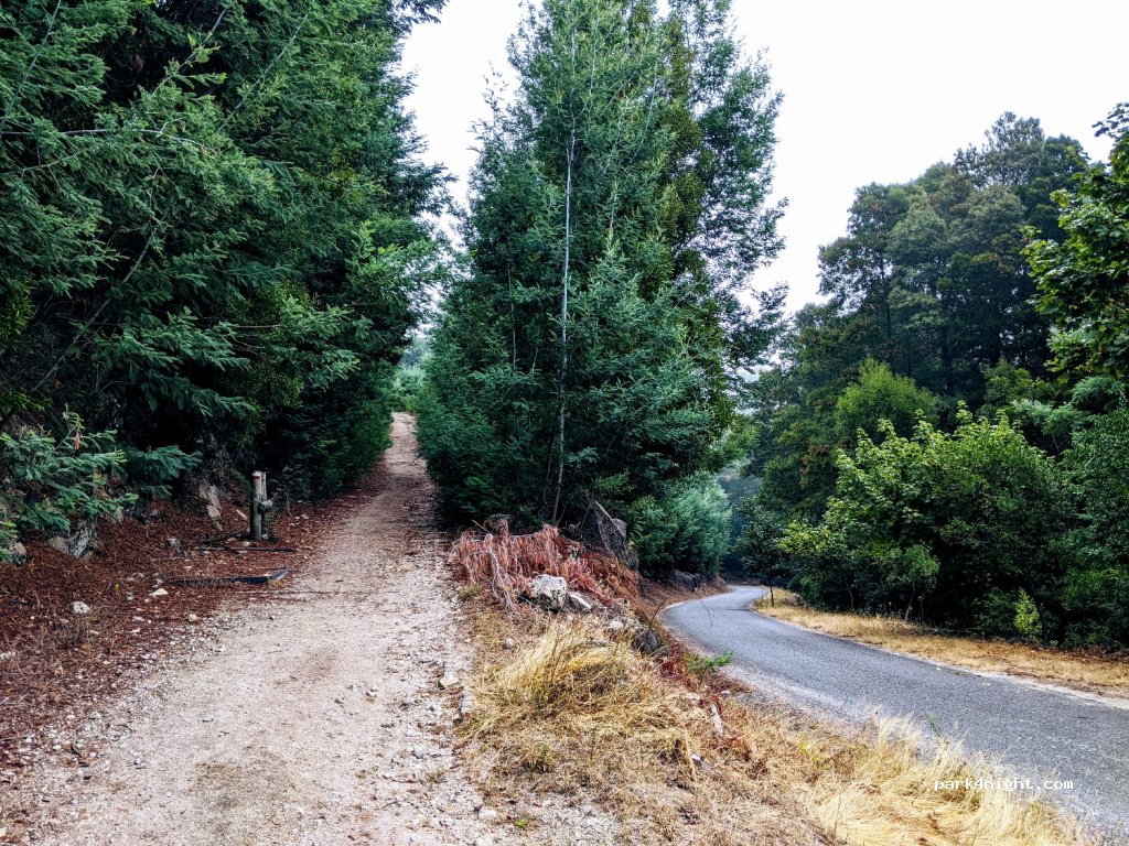 (4845)  - Estrada Florestal — foto 3