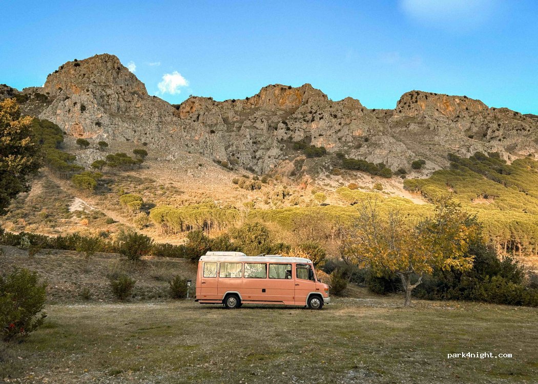 Vorea Campsite — foto 5
