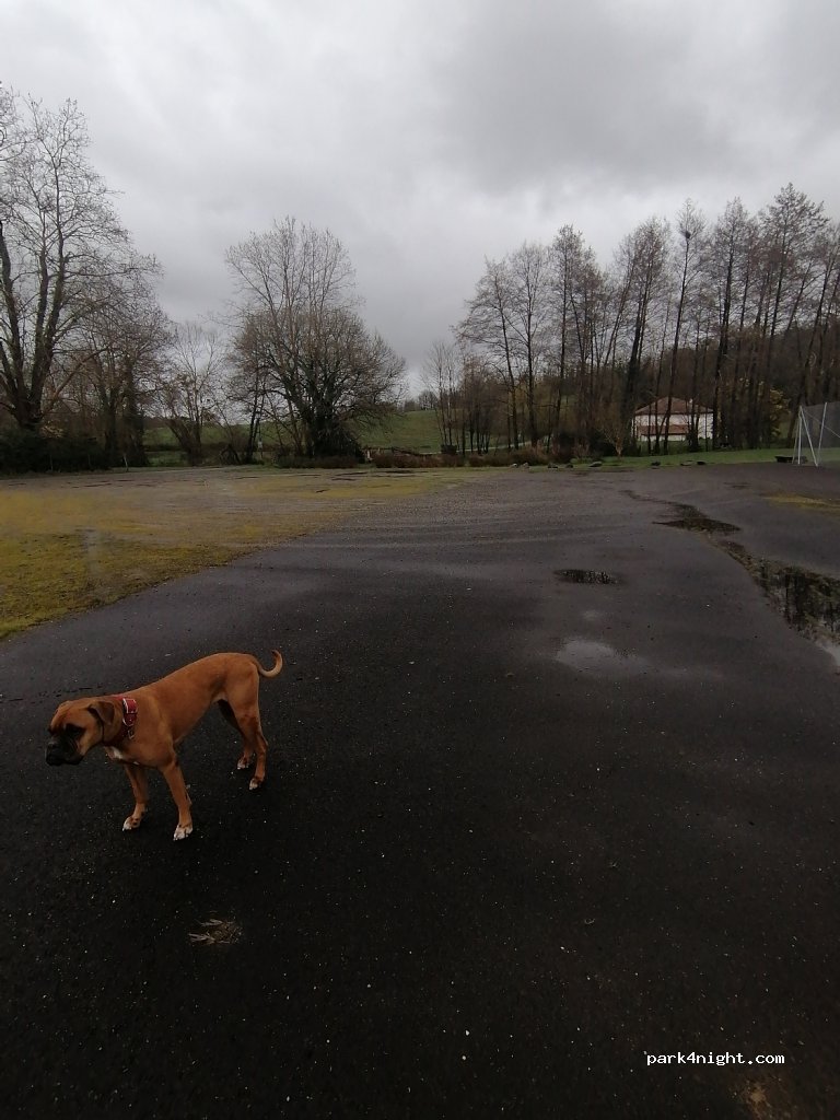 (40300) Cagnotte - 2 Allée de l'Abbaye — foto 2