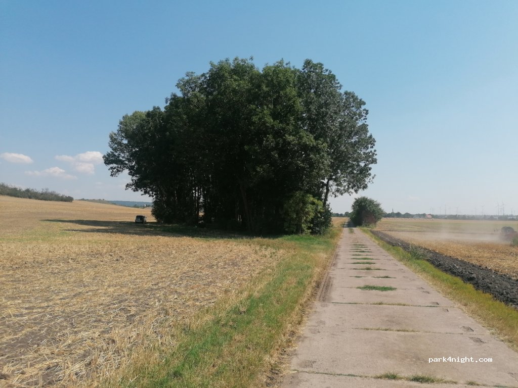(99625) Kölleda - Unnamed Road — foto 2