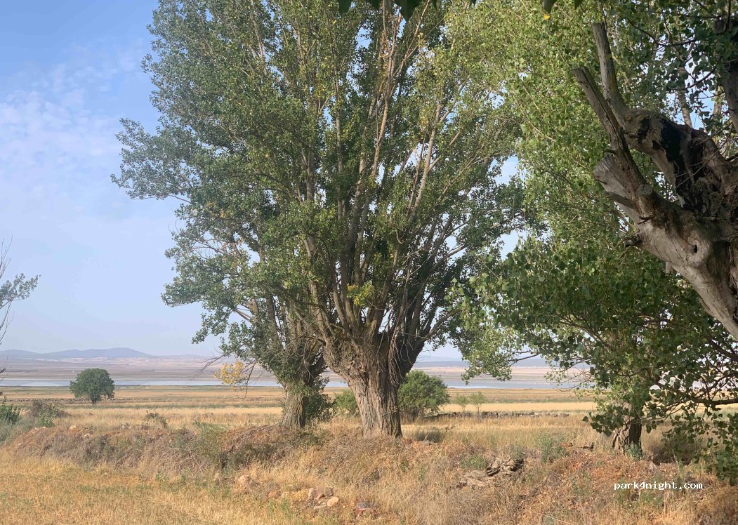 (50373) Berrueco - Unnamed Road — foto 3