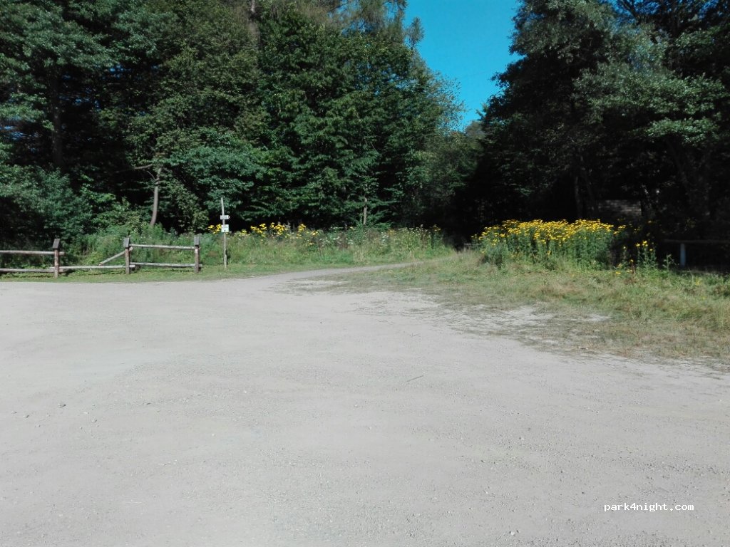 (38-610) Bukowiec - — foto