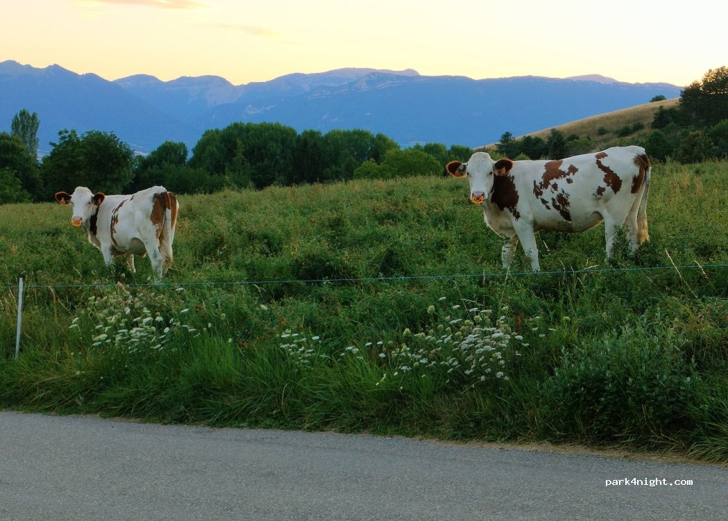 (38710) Mens - Pierre Longue et Tourrond — foto 5