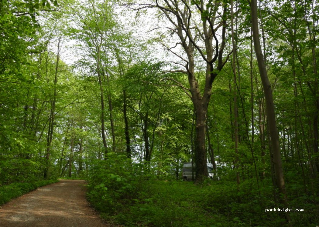 (3120) Dronningmølle - — foto 4