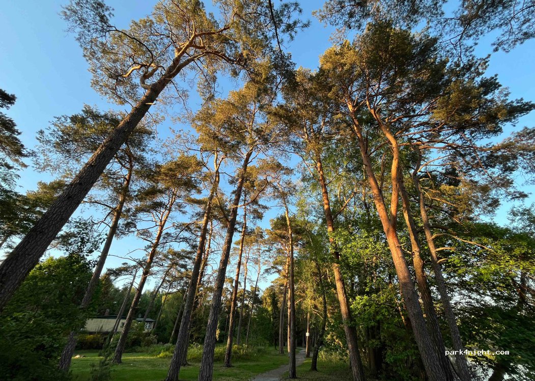 (30938) Burgwedel - 27 Am Würmsee — foto 3