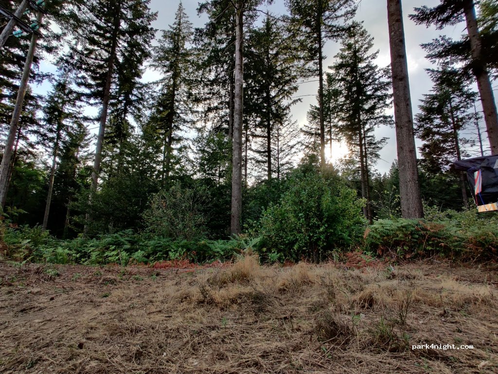 (11310) Saissac - D629 — foto