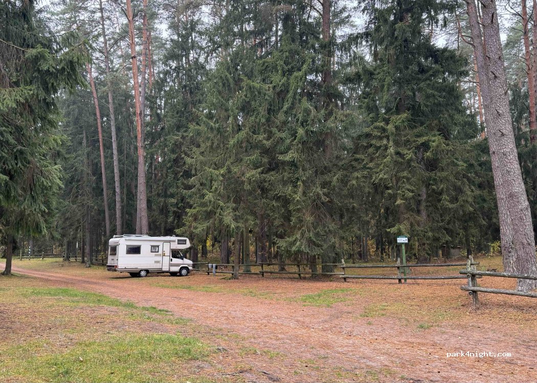 (19-206) Woźnawieś - Parking leśny — foto 5