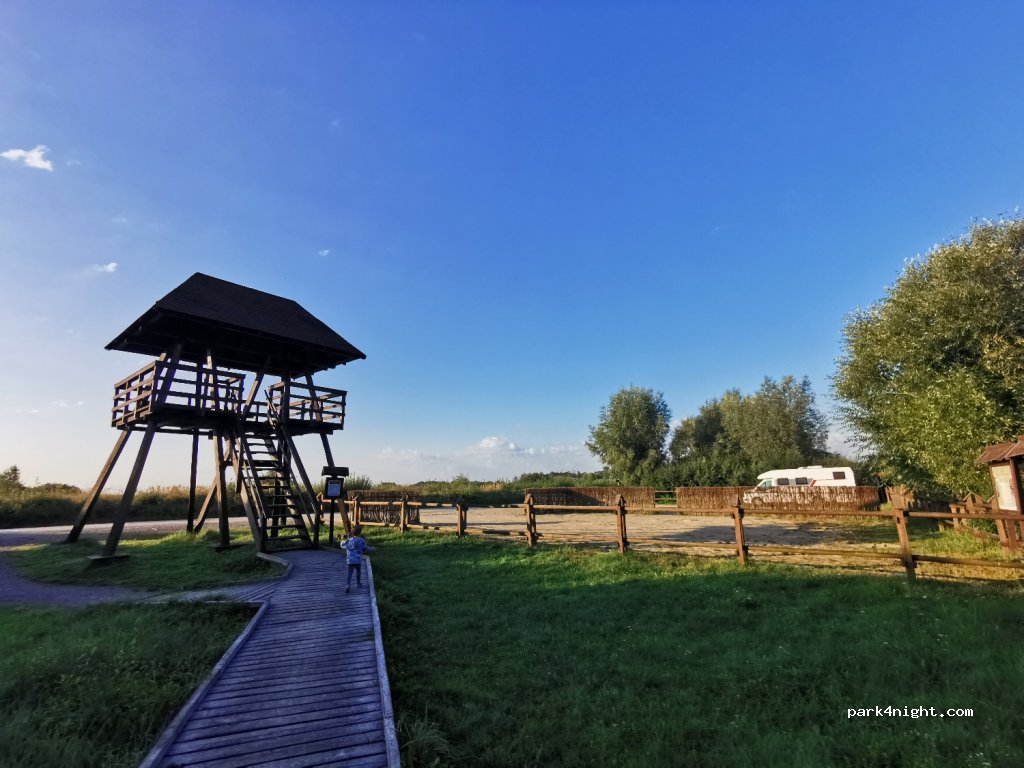 (22-234) Zastawie - Unnamed Road — foto 2