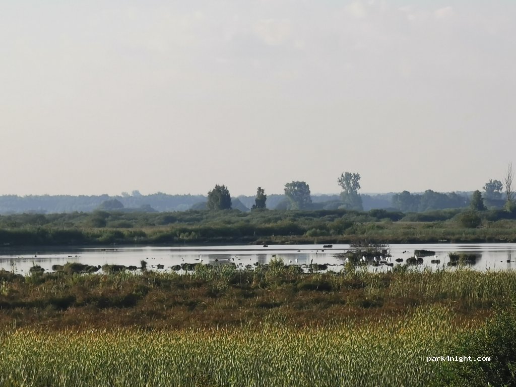 (22-234) Zastawie - Unnamed Road — foto 3
