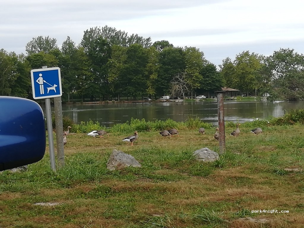 (40290) Estibeaux - 1910 Route du Lac de Tastoa — foto 2