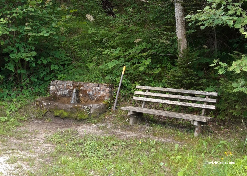 (3223)  - 108-2 Langseitenrotte — foto 3