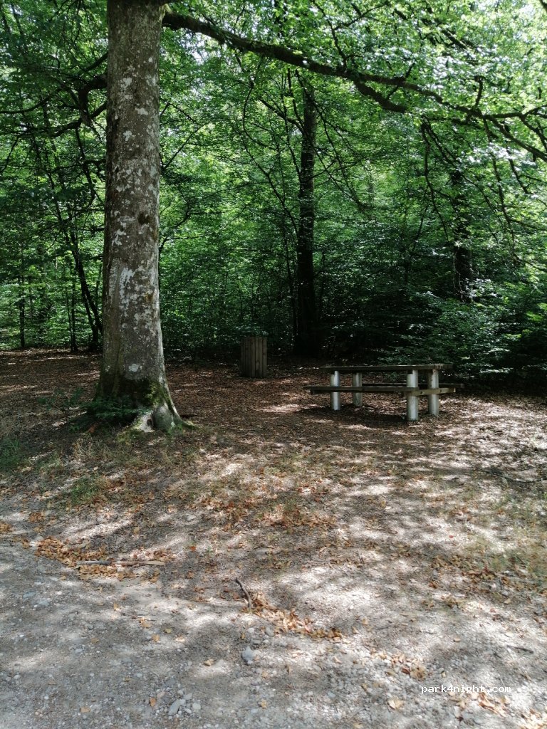 (88460) Charmois-devant-Bruyères - Le Rayeux — foto