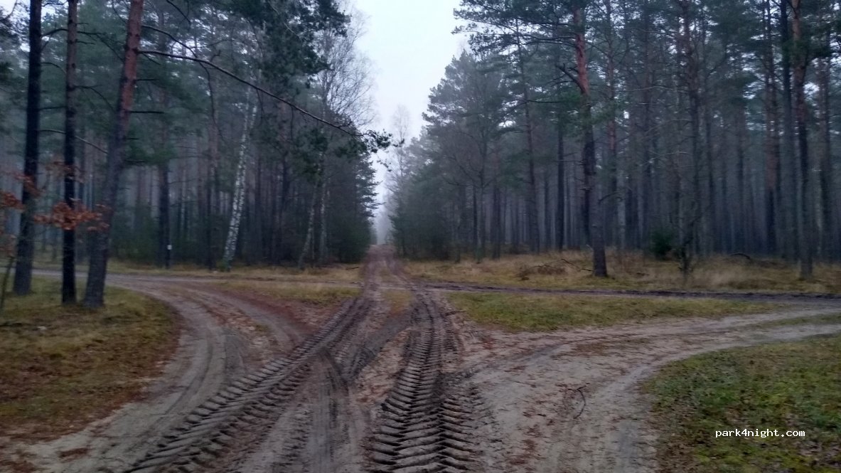 (83) Leśny Dwór - Unnamed Road — foto 2