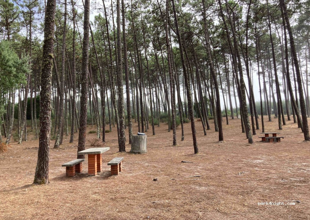 (3885) Cortegaça - Rua da Floresta — foto 2