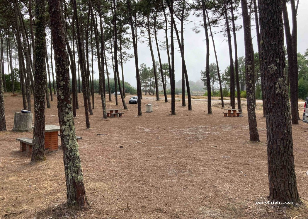 (3885) Cortegaça - Rua da Floresta — foto 3