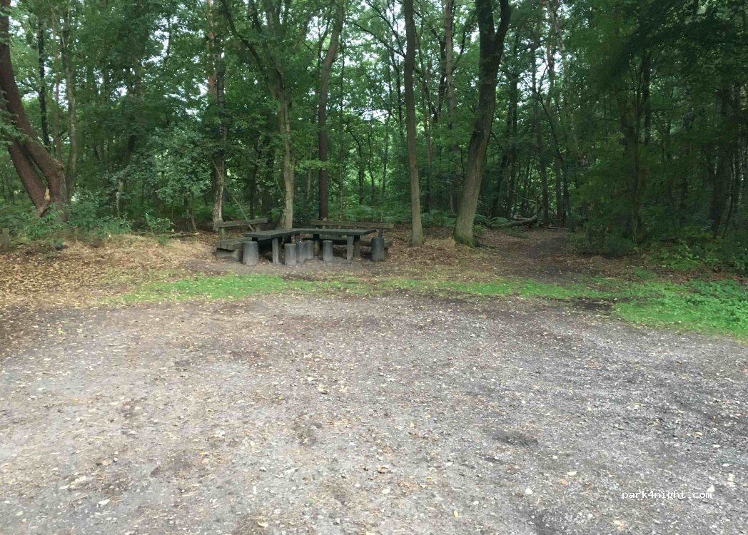 (49681) Garrel - 12 Drei-Brücken-Weg — foto