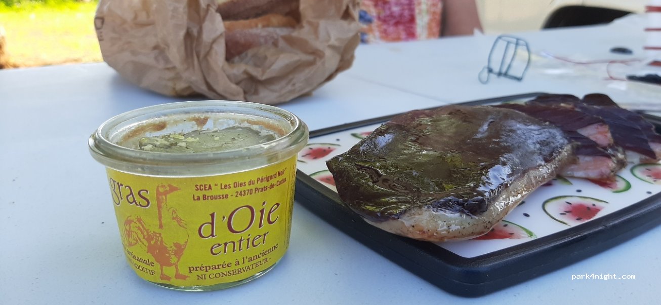 Les Oies du Périgord Noir — foto 2