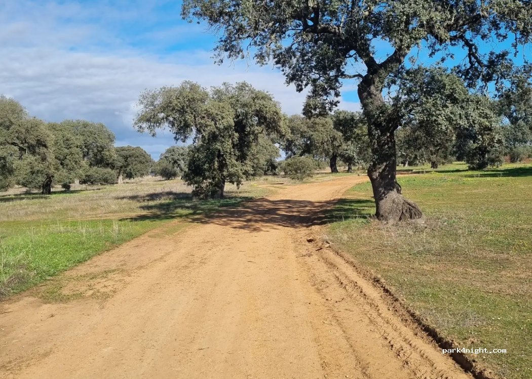 (06730) Navalvillar de Pela - EX-116 — foto 3