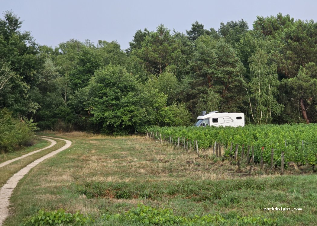 (41130) Châtillon-sur-Cher - Rue du Pont du Sauldre — foto 4
