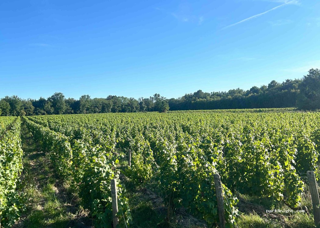 (41130) Châtillon-sur-Cher - Rue du Pont du Sauldre — foto 5