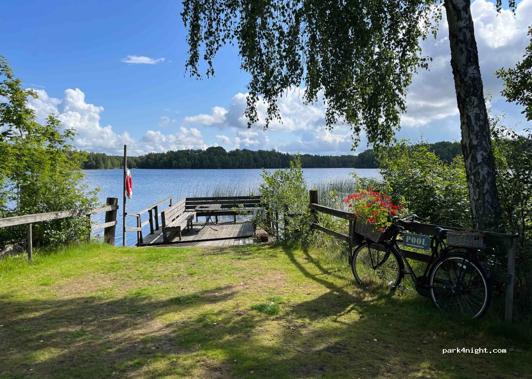 Den Sovande Älgen — foto 3