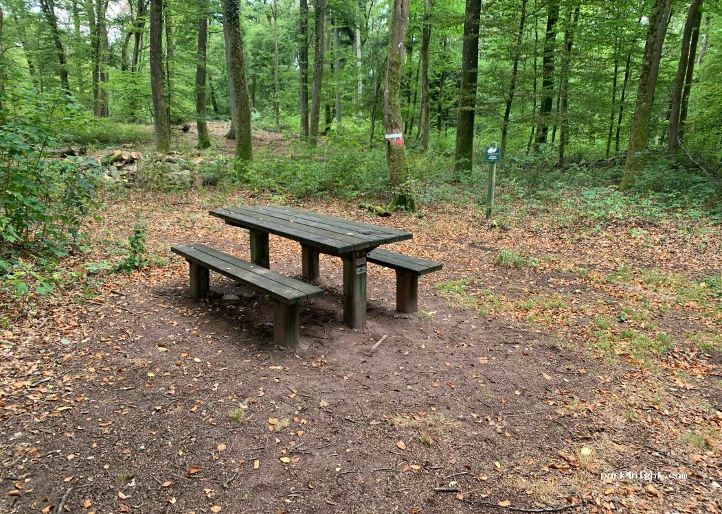 (67290) La Petite-Pierre - D9 — foto