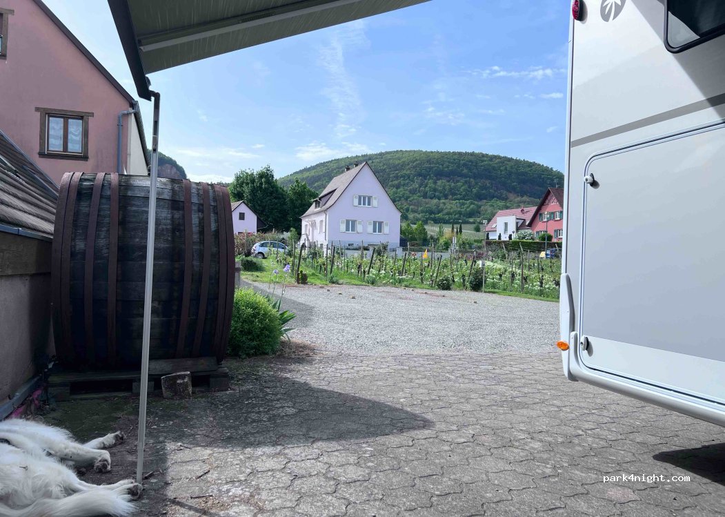 Vins Denis Meyer et Filles — foto 3