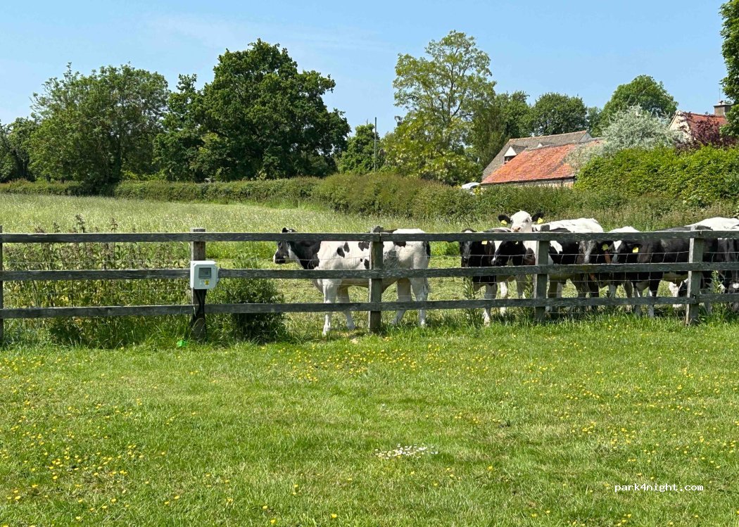 Manor Farm — foto 4