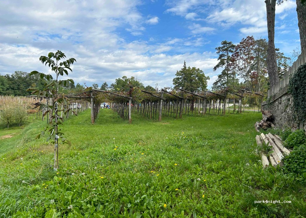 Kraška klet Krstan — foto