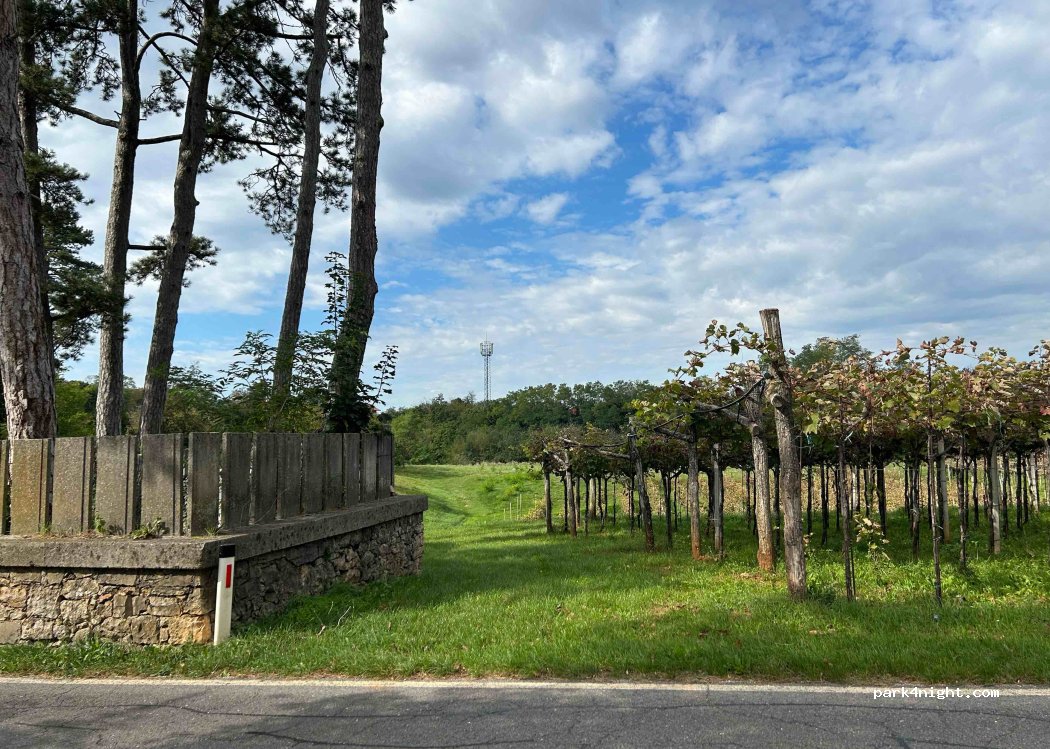Kraška klet Krstan — foto 3