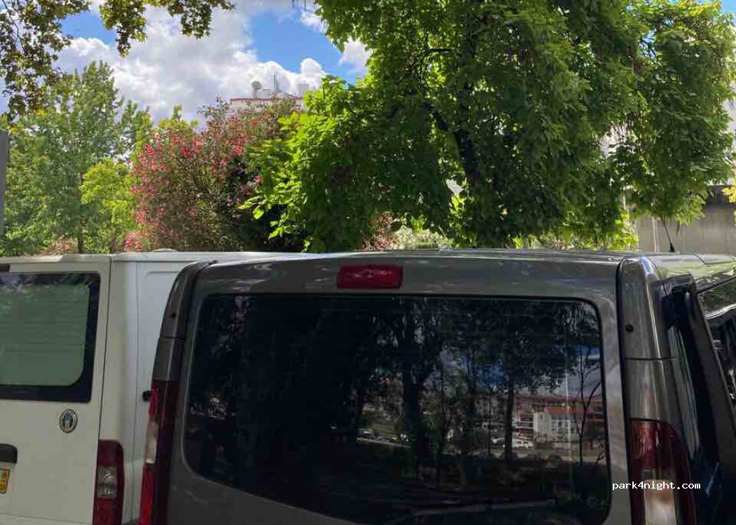 (2400-221) Leiria - 123 Rua Capitao Mouzinho de Albuquerque — foto 3