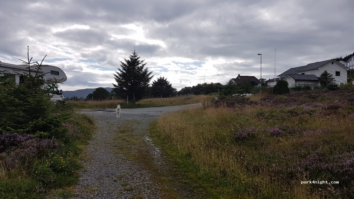 (6094) Leinøy - 55 Kvianesvegen — foto 3