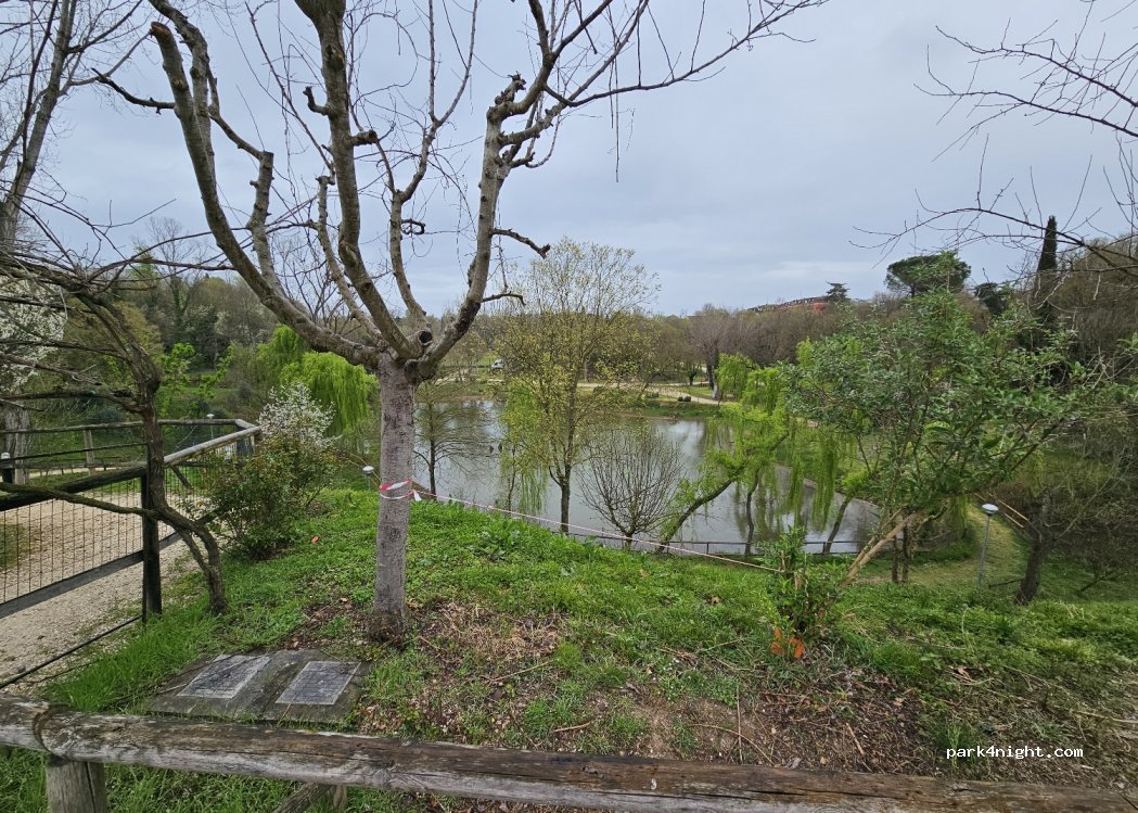 Area sosta camper Monzambano — foto 4