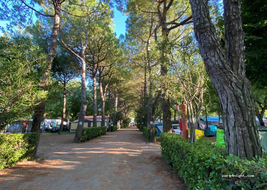 Camping Silva — foto 2