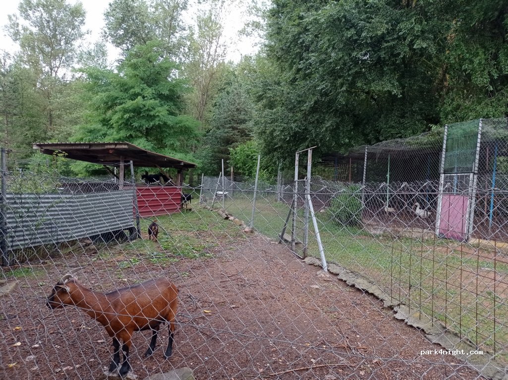 Camping Senterada — foto 2