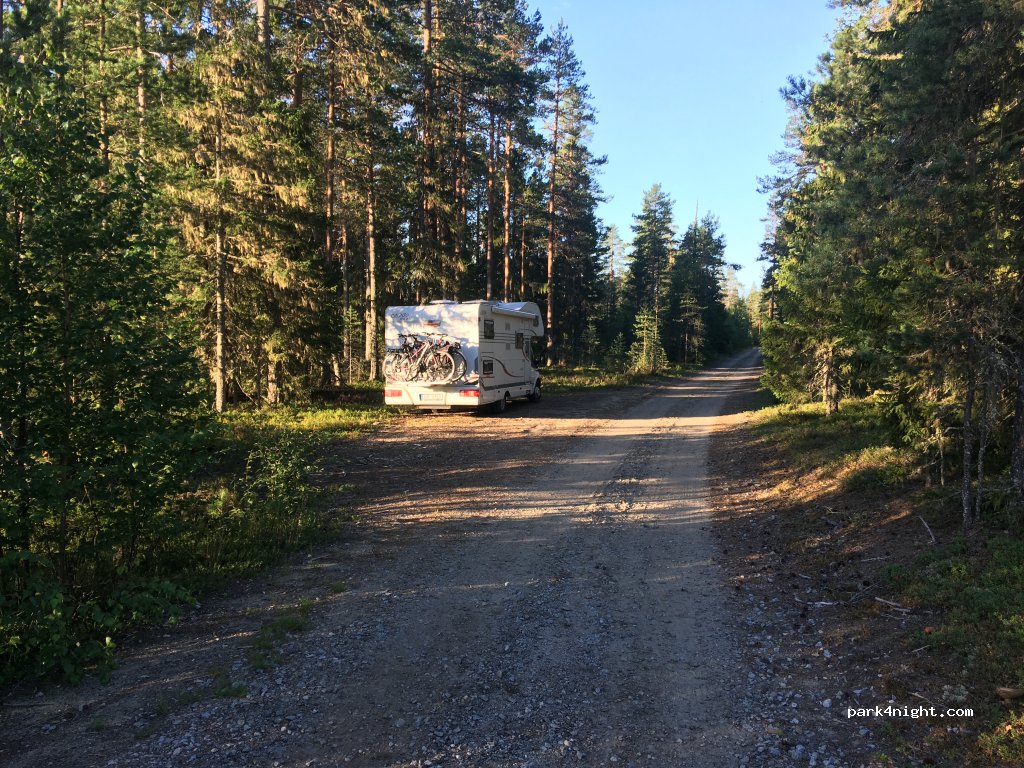 (914 92) Nordmaling - Forest Service Road — foto