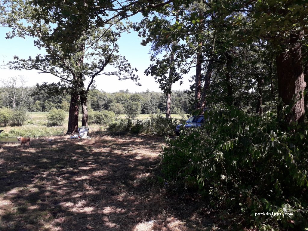 (97)  - — foto 2