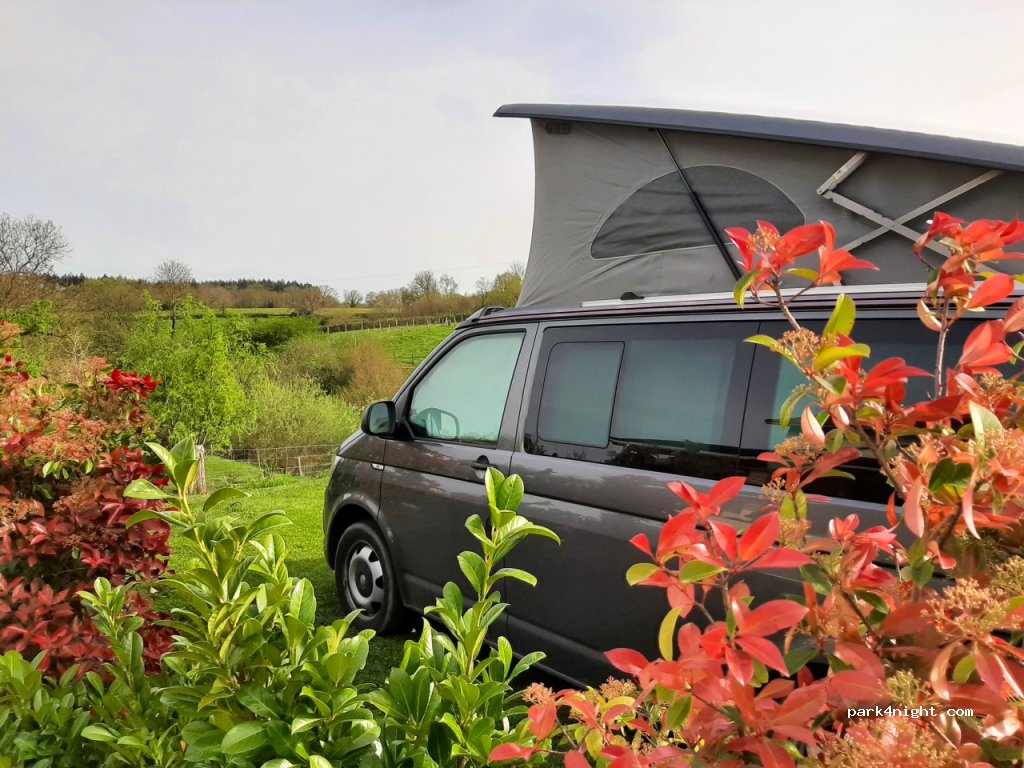 Estefana Camping — foto 3