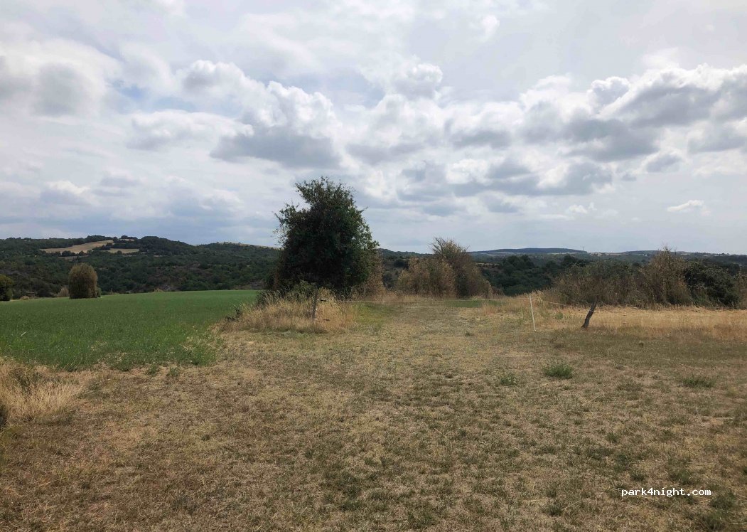 (12540) Cornus - Unnamed Road — foto