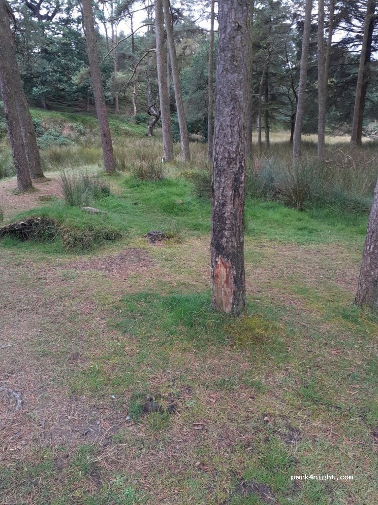(LA2 9DW) Lancaster - Unnamed Road — foto 3