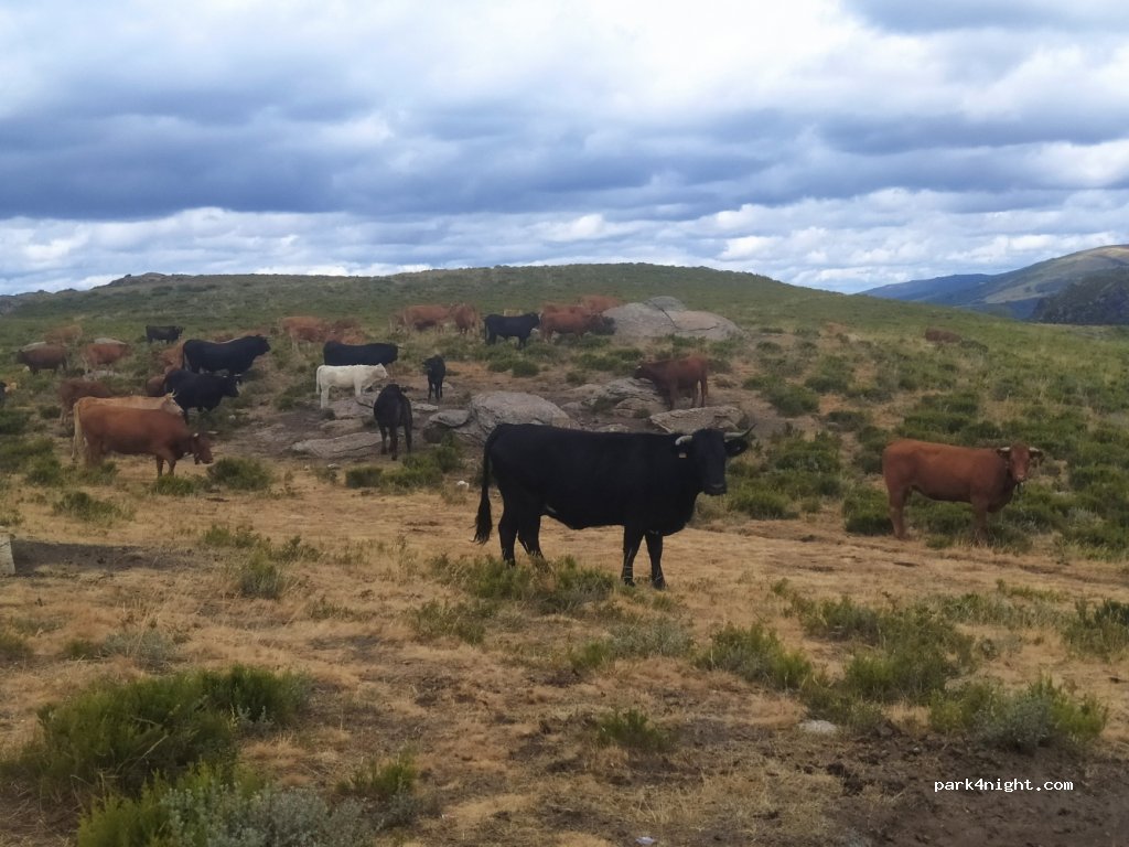 () Porto - Unnamed Road — foto 2