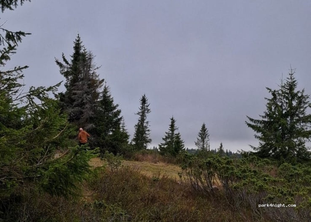 (2618)  - Unnamed Road — foto 4