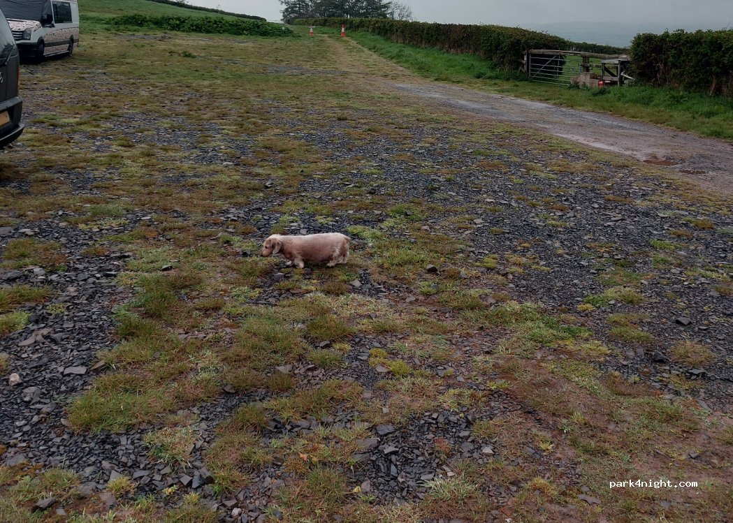Newcourt Farm Campsite — foto 4