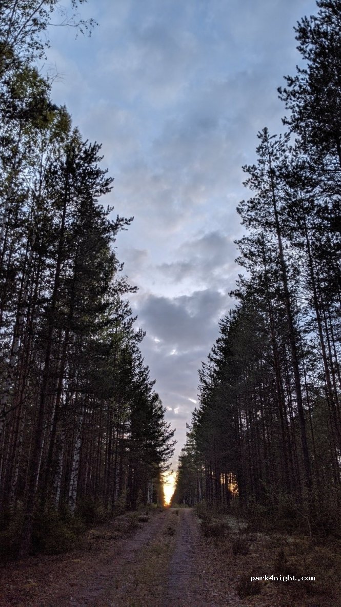 (713 93)  - Unnamed Road — foto