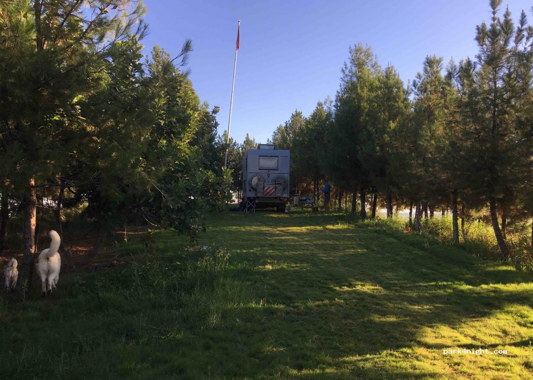 (63510) Şanlıurfa - Unnamed Road — foto 2