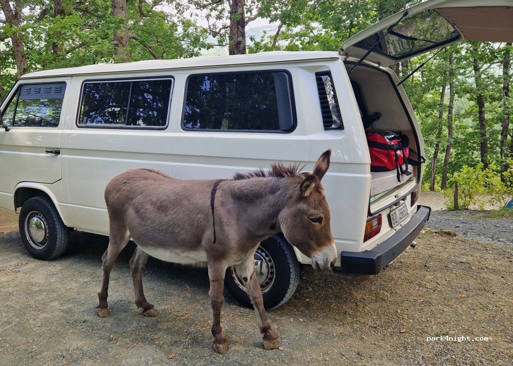 Village Camping — foto 4