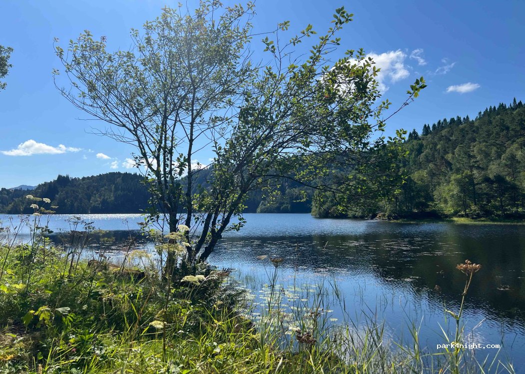 (6957)  - Primær Fylkesveg 607 — foto 4